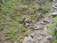Youri - Ecrins 2005 178